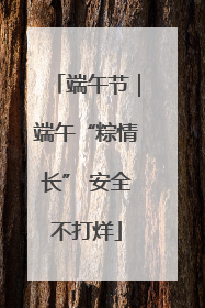 端午节｜端午“粽情长” 安全不打烊