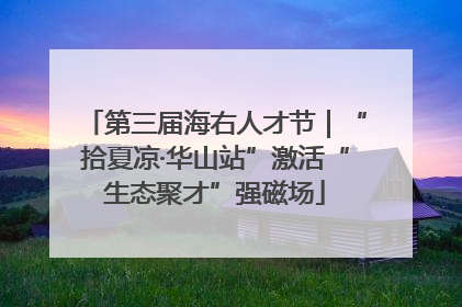 第三届海右人才节｜“拾夏凉·华山站”激活“生态聚才”强磁场