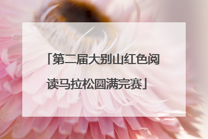 第二届大别山红色阅读马拉松圆满完赛