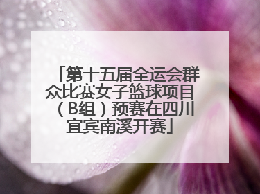 第十五届全运会群众比赛女子篮球项目（B组）预赛在四川宜宾南溪开赛