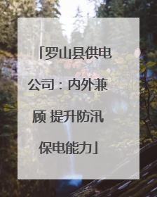 罗山县供电公司：内外兼顾 提升防汛保电能力