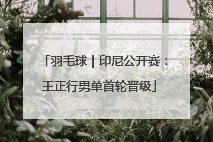 羽毛球｜印尼公开赛：王正行男单首轮晋级