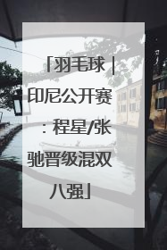 羽毛球｜印尼公开赛：程星/张驰晋级混双八强