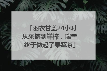羽衣甘蓝24小时从采摘到鲜榨，瑞幸终于做起了果蔬茶