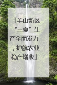 羊山新区“三夏”生产全面发力，护航农业稳产增收