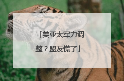 美亚太军力调整？盟友慌了