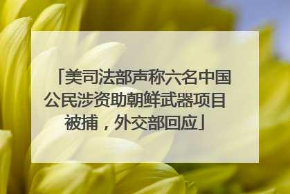 美司法部声称六名中国公民涉资助朝鲜武器项目被捕，外交部回应
