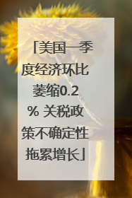 美国一季度经济环比萎缩0.2% 关税政策不确定性拖累增长