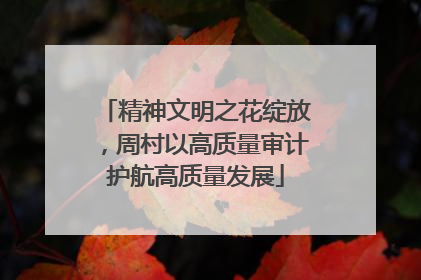 精神文明之花绽放，周村以高质量审计护航高质量发展