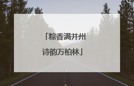 粽香满并州 诗韵万柏林