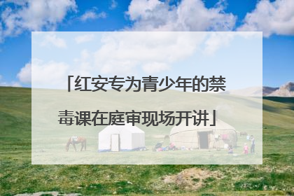 红安专为青少年的禁毒课在庭审现场开讲