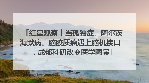 红星观察丨当孤独症、阿尔茨海默病、脑胶质瘤遇上脑机接口，成都科研改变医学图景