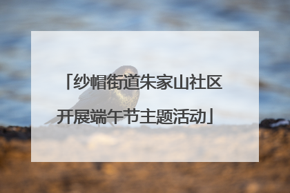 纱帽街道朱家山社区开展端午节主题活动