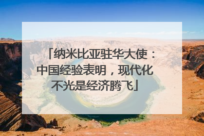 纳米比亚驻华大使：中国经验表明，现代化不光是经济腾飞