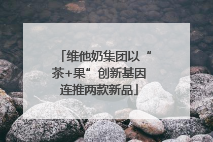 维他奶集团以“茶+果”创新基因连推两款新品