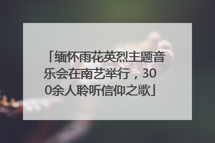 缅怀雨花英烈主题音乐会在南艺举行，300余人聆听信仰之歌