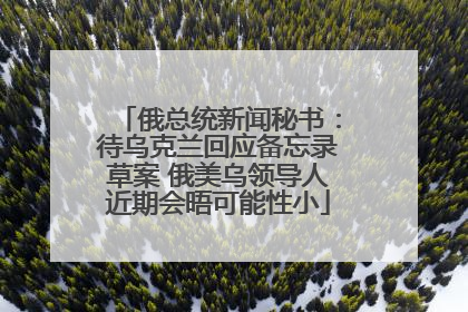 俄总统新闻秘书：待乌克兰回应备忘录草案 俄美乌领导人近期会晤可能性小