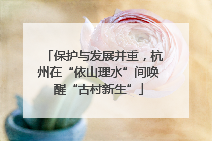 保护与发展并重，杭州在“依山理水”间唤醒“古村新生”