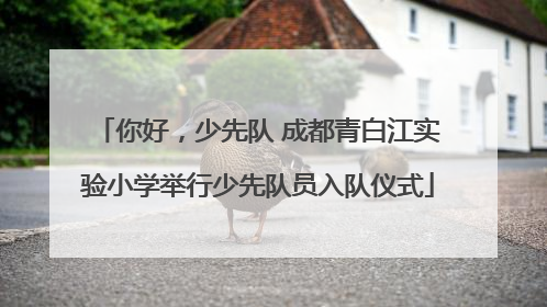 你好，少先队 成都青白江实验小学举行少先队员入队仪式