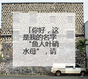 你好，这是我的名字“鱼人叶硝水母”，请多关照！