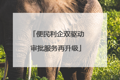 便民利企双驱动 审批服务再升级