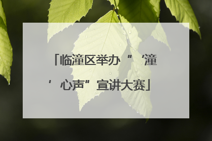 临潼区举办“‘潼’心声”宣讲大赛