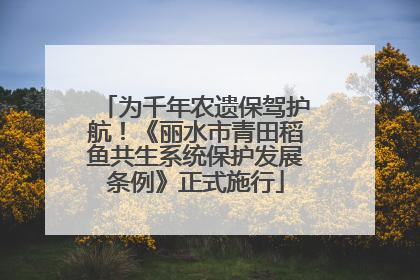为千年农遗保驾护航！《丽水市青田稻鱼共生系统保护发展条例》正式施行