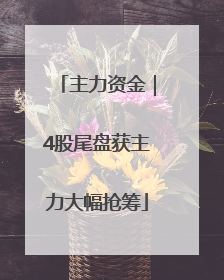 主力资金｜4股尾盘获主力大幅抢筹