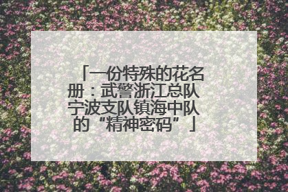 一份特殊的花名册：武警浙江总队宁波支队镇海中队的“精神密码”