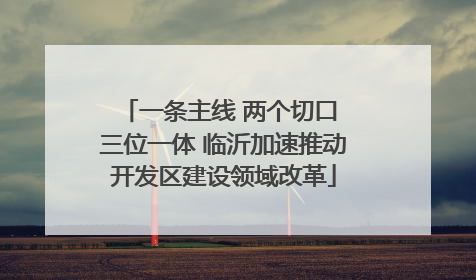 一条主线 两个切口 三位一体 临沂加速推动开发区建设领域改革