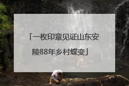 一枚印章见证山东安陵88年乡村蝶变