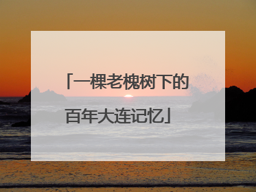 一棵老槐树下的百年大连记忆