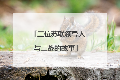 三位苏联领导人与二战的故事