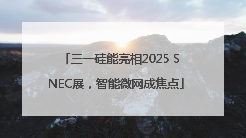 三一硅能亮相2025 SNEC展，智能微网成焦点