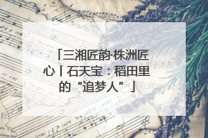 三湘匠韵·株洲匠心丨石天宝：稻田里的“追梦人”