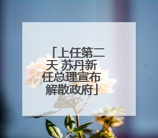 上任第二天 苏丹新任总理宣布解散政府