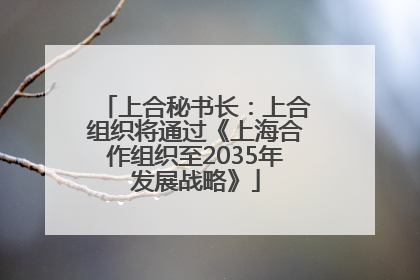 上合秘书长：上合组织将通过《上海合作组织至2035年发展战略》
