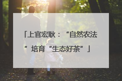 上官宏耿：“自然农法”培育“生态好茶”