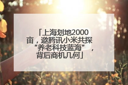 上海划地2000亩，邀腾讯小米共探“养老科技蓝海”，背后商机几何