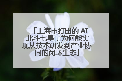 上海市打出的 AI 北斗七星，为何能实现从技术研发到产业协同的闭环生态