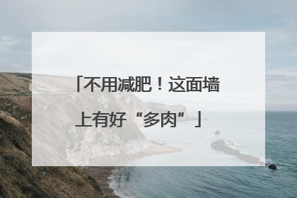 不用减肥！这面墙上有好“多肉”