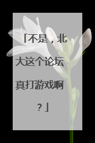 不是，北大这个论坛真打游戏啊？