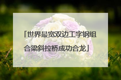 世界最宽双边工字钢组合梁斜拉桥成功合龙