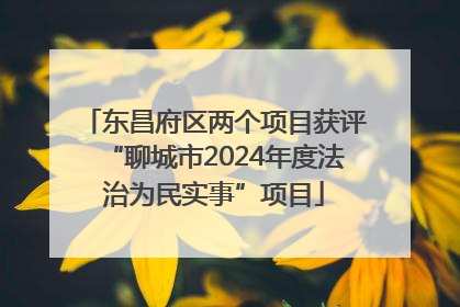东昌府区两个项目获评“聊城市2024年度法治为民实事”项目