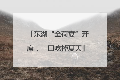东湖“全荷宴”开席，一口吃掉夏天