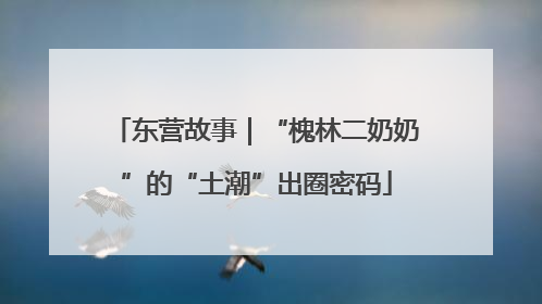 东营故事｜“槐林二奶奶”的“土潮”出圈密码