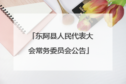 东阿县人民代表大会常务委员会公告