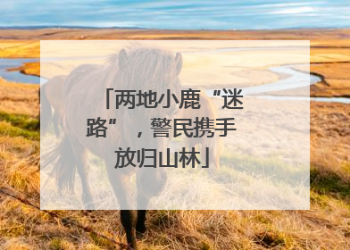 两地小鹿“迷路”，警民携手放归山林