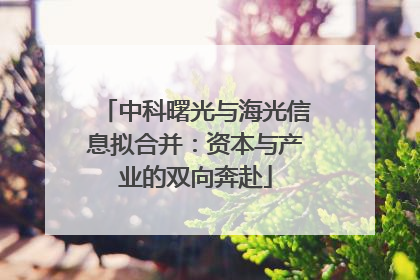 中科曙光与海光信息拟合并：资本与产业的双向奔赴
