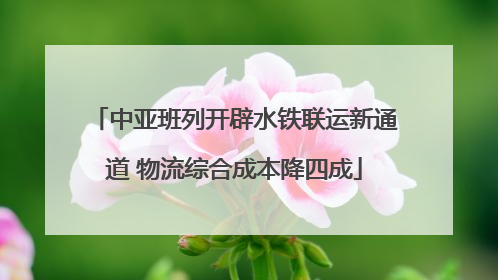 中亚班列开辟水铁联运新通道 物流综合成本降四成